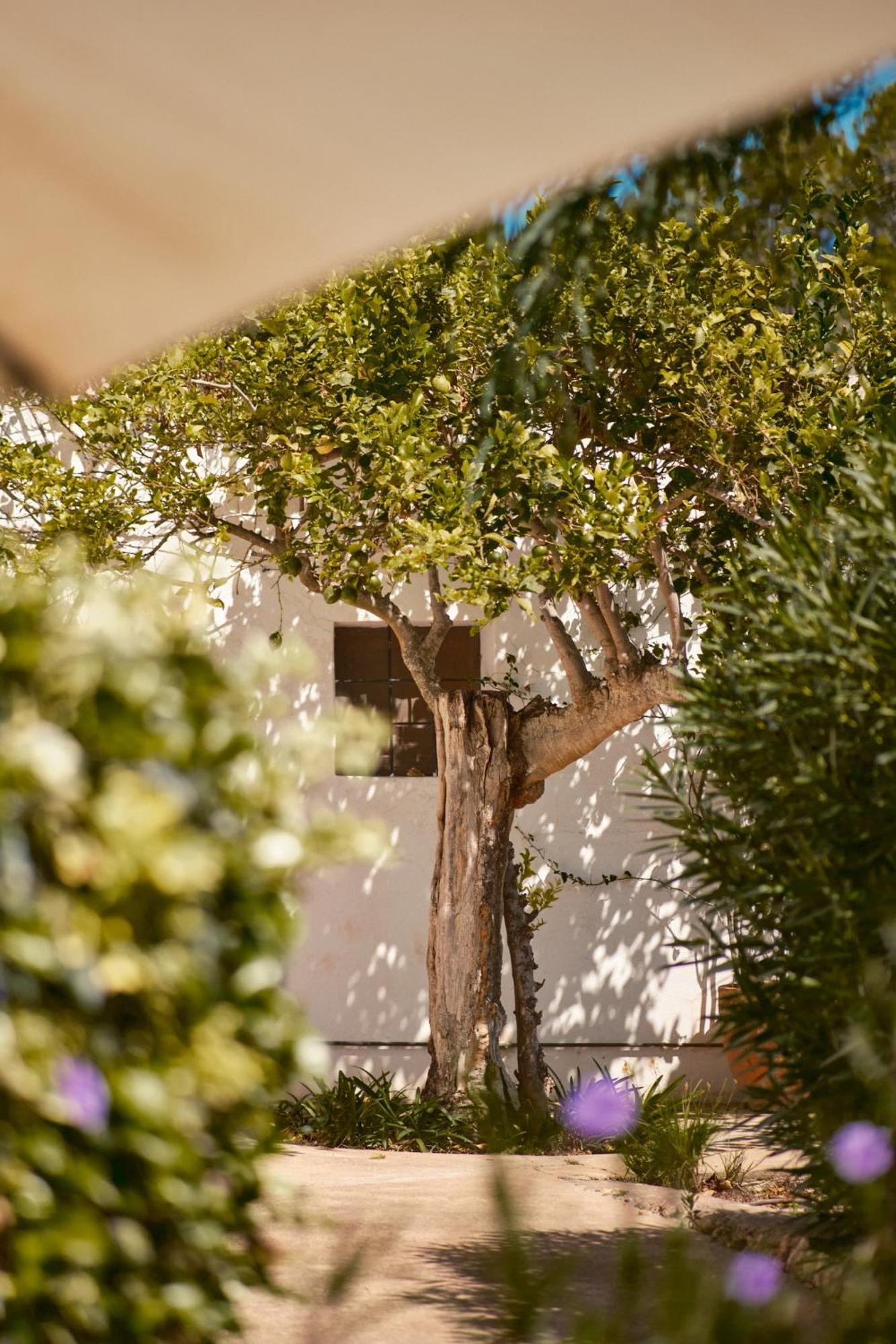 The Guardian House Otel Santa Gertrudis  Dış mekan fotoğraf