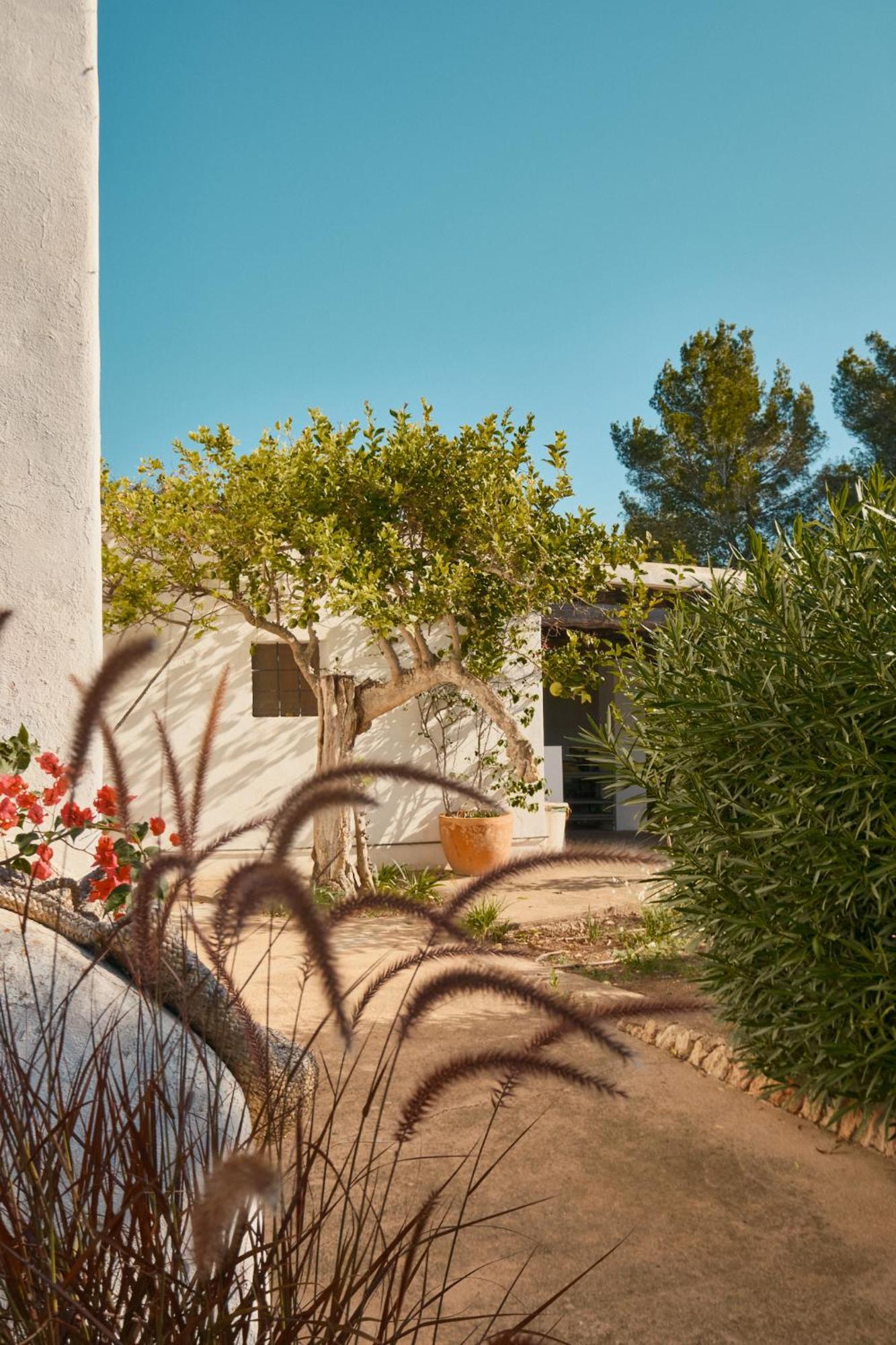 The Guardian House Otel Santa Gertrudis  Dış mekan fotoğraf